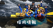 採用情報